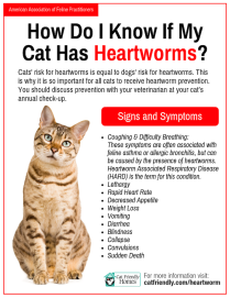 how do i know if my cat has heartworms