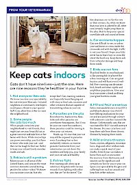 Keep cats indoors