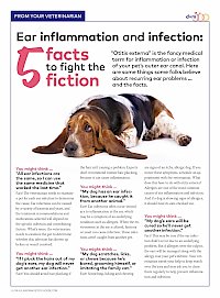 ear inflammation and infection;5 facts to fight the fiction