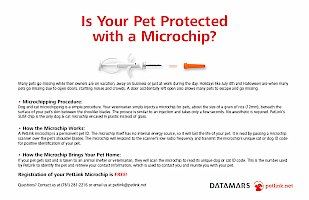Article: Is your pet protected with a microchip? 