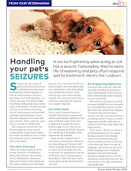 Article: Handling your pet's seizures