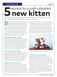 5 secrets to a well-adjusted new kitten
